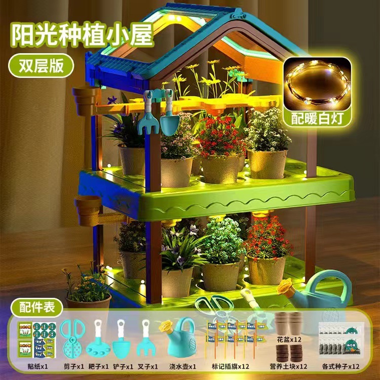 [절묘한 선물 상자] 더블 태양 방 12 씨앗 DIY 라이트 벨트