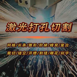 多头激光打点机 激光皮革布料打孔 皮鞋打孔机  PU切割机厂家直供