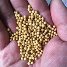 批发进口控释肥15-9-11控释肥缓释肥兰花肥树脂包衣花卉用复合肥