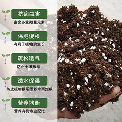 Order Now, Get Free Fertilizer - Universal Cultivation Substrate for Seedling, Family Gardening, Vegetables, Flowers, Balcony, and Plant Nutrition Soil - Wholesale