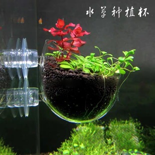 �ݸ��쾰��co2ˮ���������ˮ����ˮ������ˮ�ݱ������Nֲ �쾰��