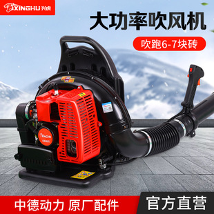 Two-Stroke Blower Gasoline Fire Extinguisher Backpack High-Power Snow Blower Fallen Leaves Greenhouse Snow Removal