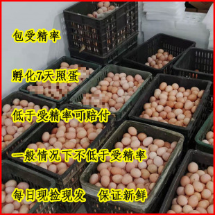 ���u�N���ܾ����ɷ����t���N���ܾ��u���ɷ������u��10ö����]