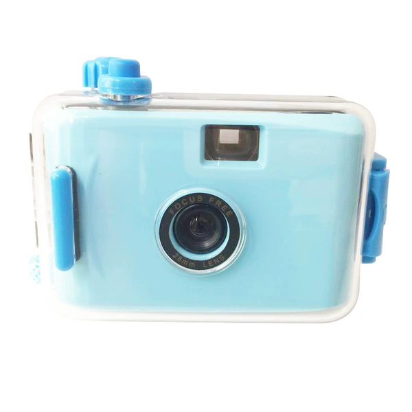 Light blue and blue shell