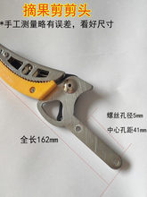 ��֦ժ������������^�Ͻ��ֱ��Ƭ��s��֦��