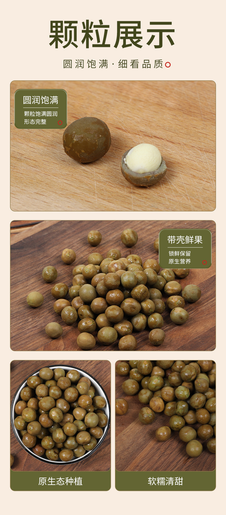 Organic Dried Gorgon Fruit Qian Shi 500g Premium Fresh Season Large Granules Euryale Ferox Seeds quality and texture