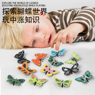 2024�羳�¿�������xģ����ߺ������x����ģ�̓�ͯ��߿����l