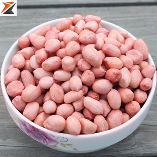 ���������������r�����������tƤ�������l��5��10��߮a����