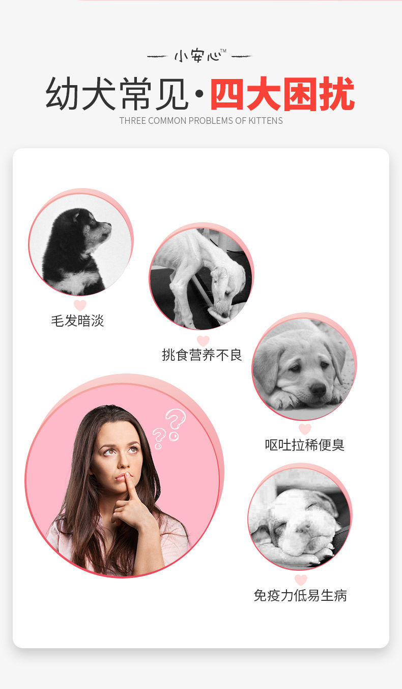 64d22718-d933-490c-969a-a70bd0ffb189.jpe