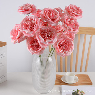 ����õ�廨���R�����^�W˹�������Y�bzӰ���߲��üٻ����l