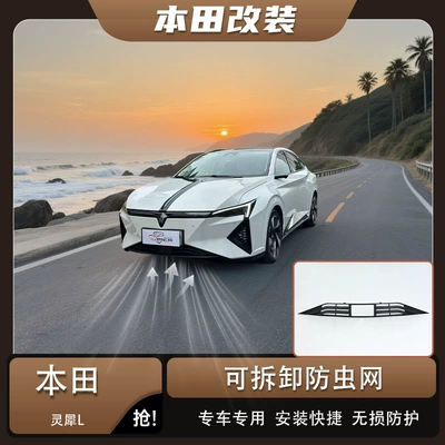 Suitable for 24 Honda Lingxi Automobile anti-insect net