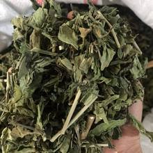 Ұɽ�n�ݲݲ�,ȫ�ݕ��,������,�n�ܲ�,������ָɽ��؛��؛