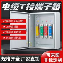 IKV矿物质绝缘电缆分支箱排式T接转换箱JXT1电缆接线端子分流箱