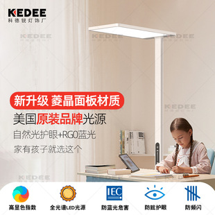 Purui High Cri Street Lamp Desktop Anti-Glare Eye Protection Lamp Full Spectrum Kidsren and Students Learning Vertical Floor Lamp