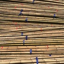 С����߲�������U�ܷN�ˈ@����S�ϼܻh�ʖř��������U��U��