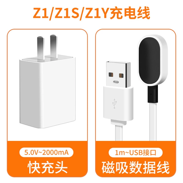 【Z1/Z1S/Z1Y】Dedicated charging set