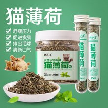 猫薄荷猫草猫零食猫咪薄荷球化毛球清洁口腔助消化猫薄荷粉薄荷草