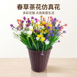 ���ݲ軨���滨 ���z����С�ݻ����� ��@�ҾӔ[�� ���⻨��ֲ��