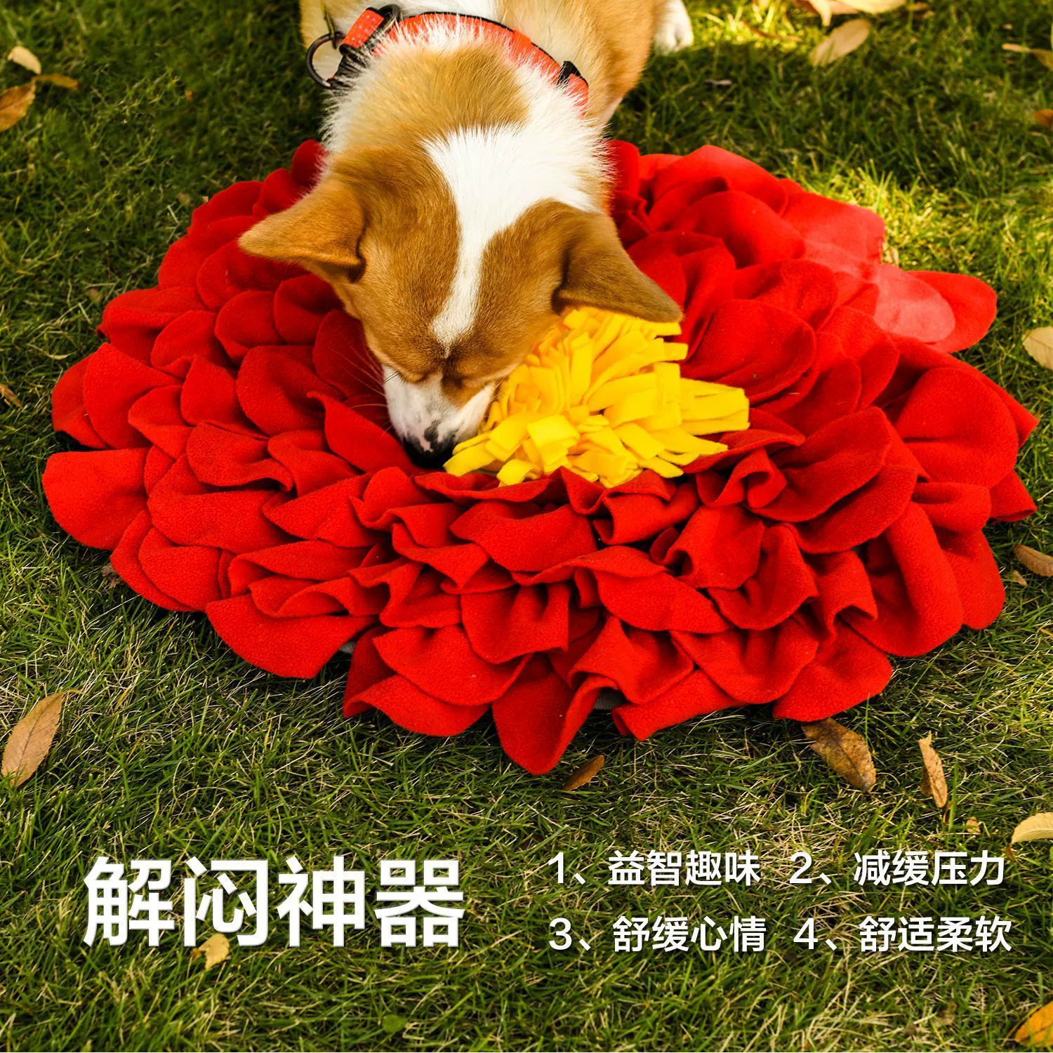 Пионовые лепестки домашние животные нюхают подушечки Собаки прячущие подушечки