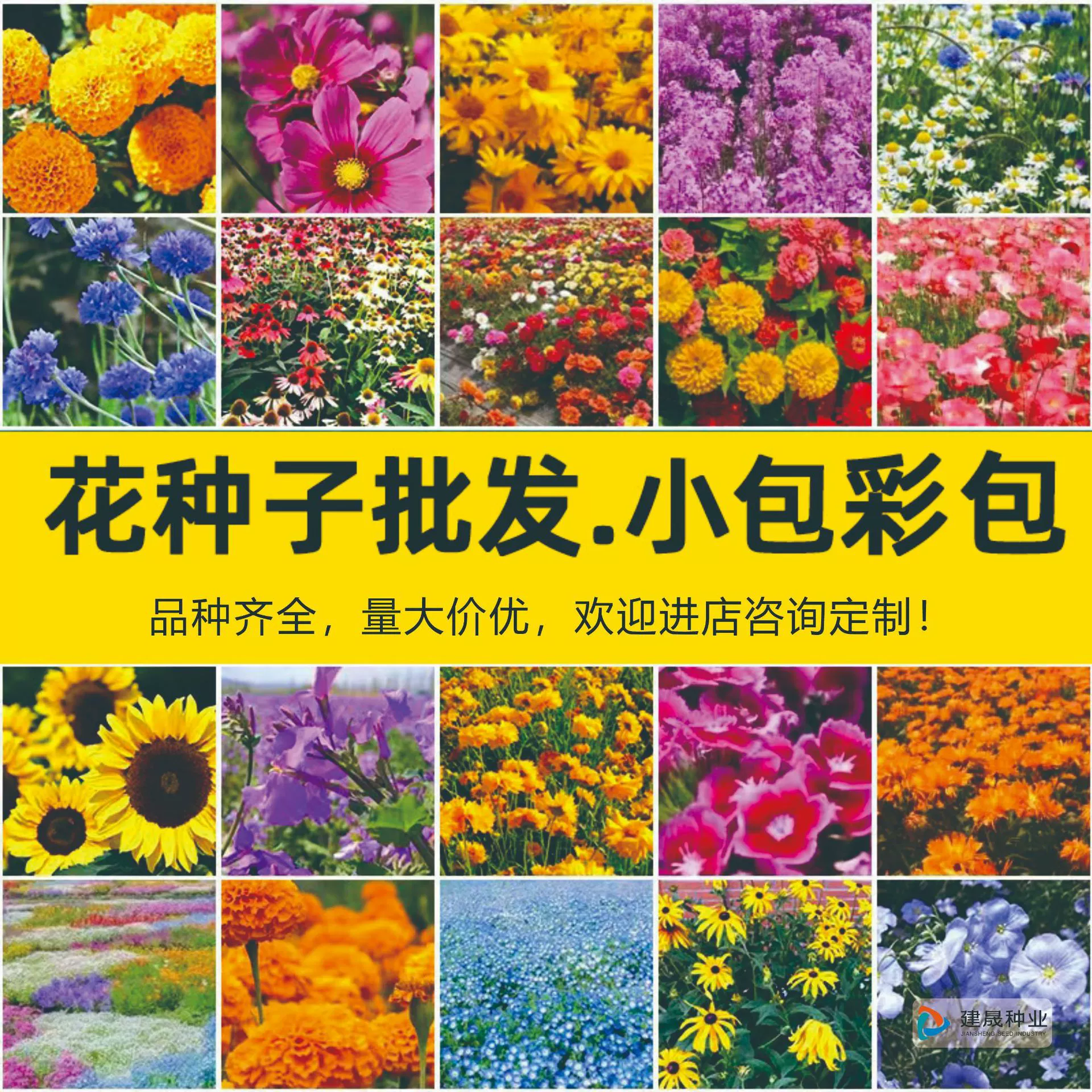 Небольшой пакет семян семян цветка карликовая утренняя слава