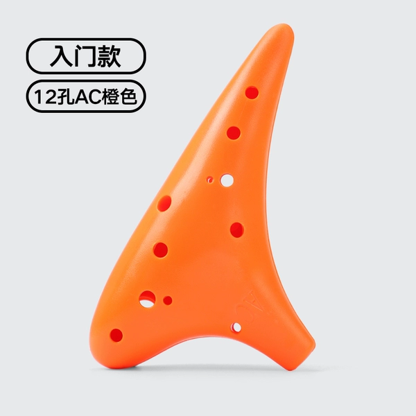 [Entry Model Orange] + Lanyard