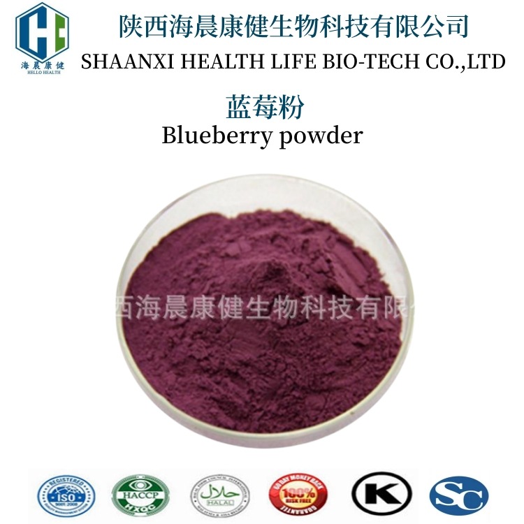 现货 蓝莓粉99% 速溶蓝莓果粉 蓝莓汁粉 海晨康健 果蔬粉营养