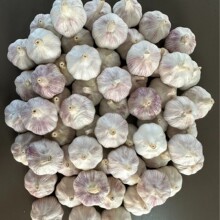 ɽ�|��Ʒ�����ԷN