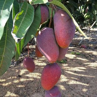 �������F��â10�����rˮ������â���â���������l�Ǵ���ą̂â