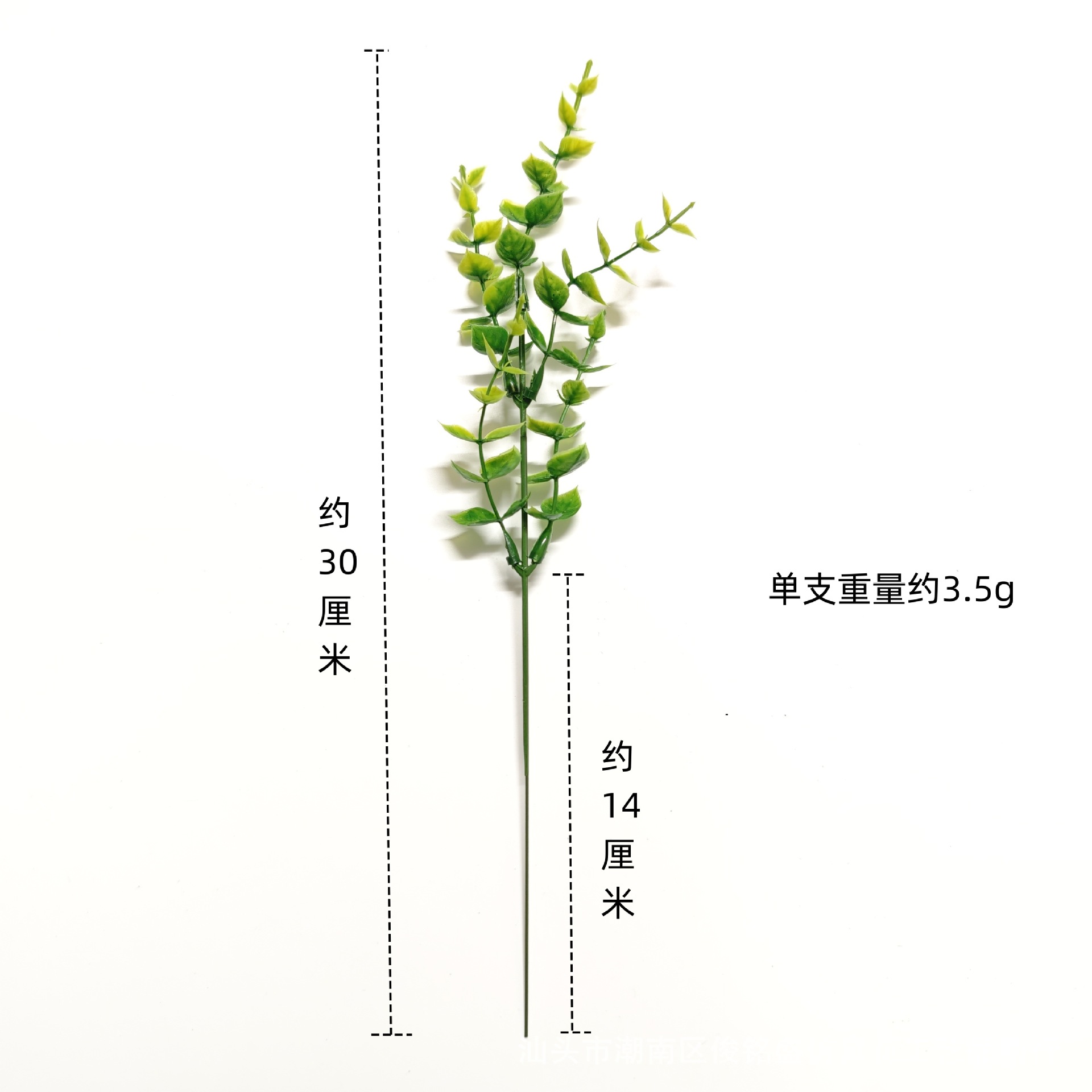 5 메쉬 유칼립투스