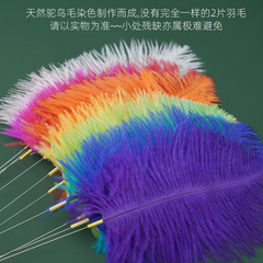 Silver needle ostrich feather ear picking tool beauty hand silver needle peacock feather brush face hibiscus pestle with eyes large feathers