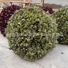 ����V�����@�G�����Gֲ�����ľ��� ���溣ͩ�� ������¹����