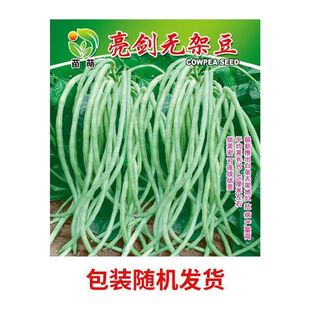 oܶǷNNӴ＾ضNļͥԺ߲˷N