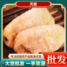 云南昭通天麻批发中药材天麻片小草坝乌量大价优代打粉药食同源