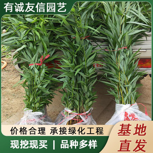 �������䴹���S�����@�־G��ͥԺ��߅��z�����е���������亵��