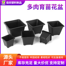 小黑方多肉花盆小白方大号塑料正方形花卉绿植植物小方盒景天批发