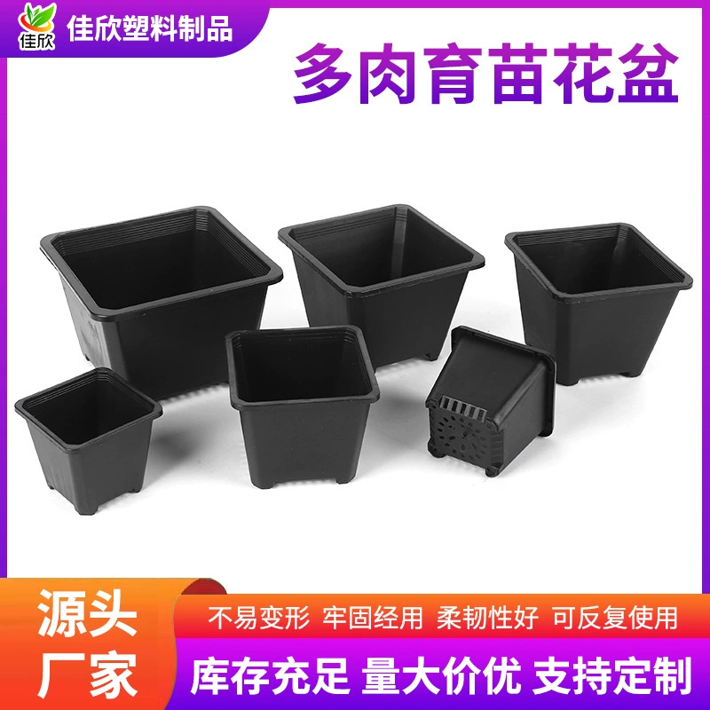 Большой пластиковый маленький белый квадратный маленький черный квадратный цветок зеленое растение маленькая квадратная коробка седум мясистый цветочный горшок оптом