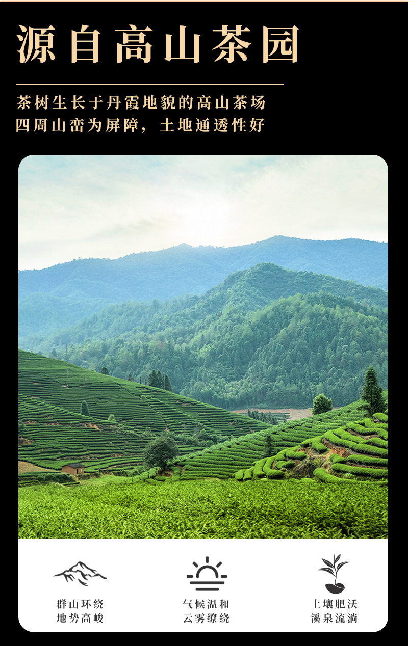 九五至尊-四大茗茶详情_16