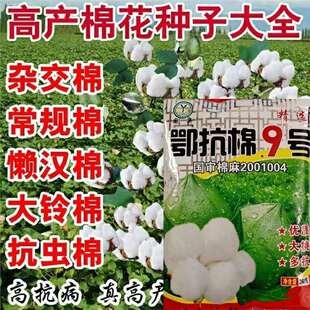 ���������޾�̖�Нh�޻��N�Ӵ��Ҵ���߮a���^��Ҏ�s���ÿ��x