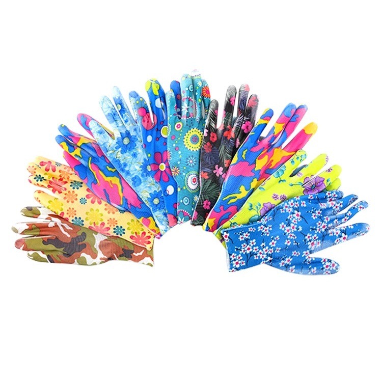 IMG_1005(20231202-233657)