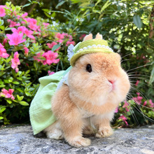 �G�̽� INS��ϵ٪���ô�����؈؈���·������K�n���M��ȫ�޼�����