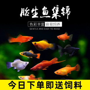 �^�p�~̥���~�y�ڬ����~�������¹��~С�Ꭷ�~�^�p�~�����~���w