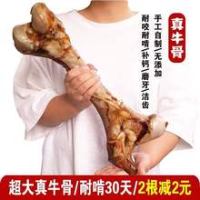 金毛牛棒骨狗狗磨牙棒耐咬中骨头补钙大型犬宠物狗零食哈士奇洁齿