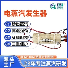 小型即热式蒸汽发生器电热蒸汽发热体高温高压蒸汽清洁机芯定制
