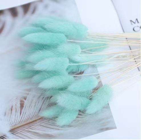 티파니 블루 래빗 테일 60개 묶음