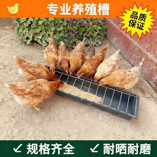 �¿��L����ι�u��ʳ���B�u�Ԅ�ιʳ��ϼ������������Bֳˮ�����l