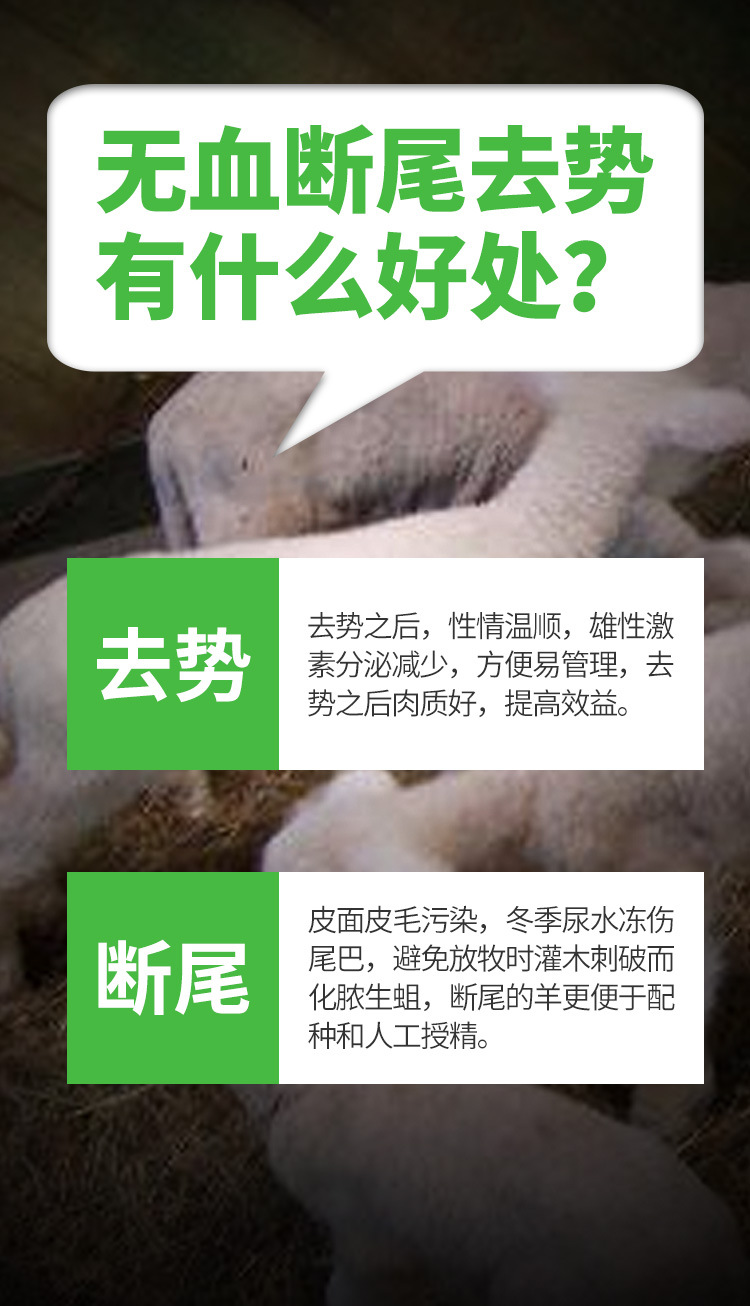 详情1_03.jpg