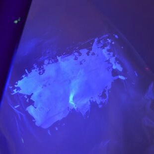 �oɫ�ɹ����⾀��ī���挣���[����ī