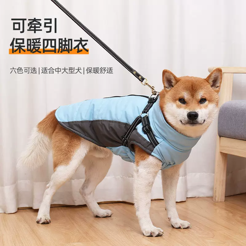 新款狗狗棉衣冬季保暖防风可牵引夜间反光马甲跨境专供宠物用品