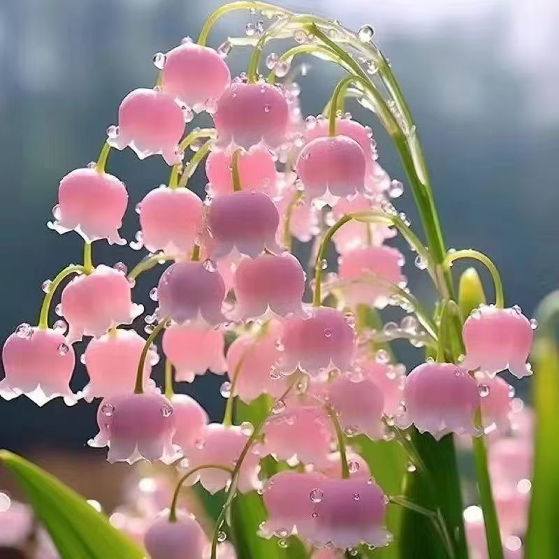 97f47592-f940-4865-8a0c-5c5c33f7d462.jpe