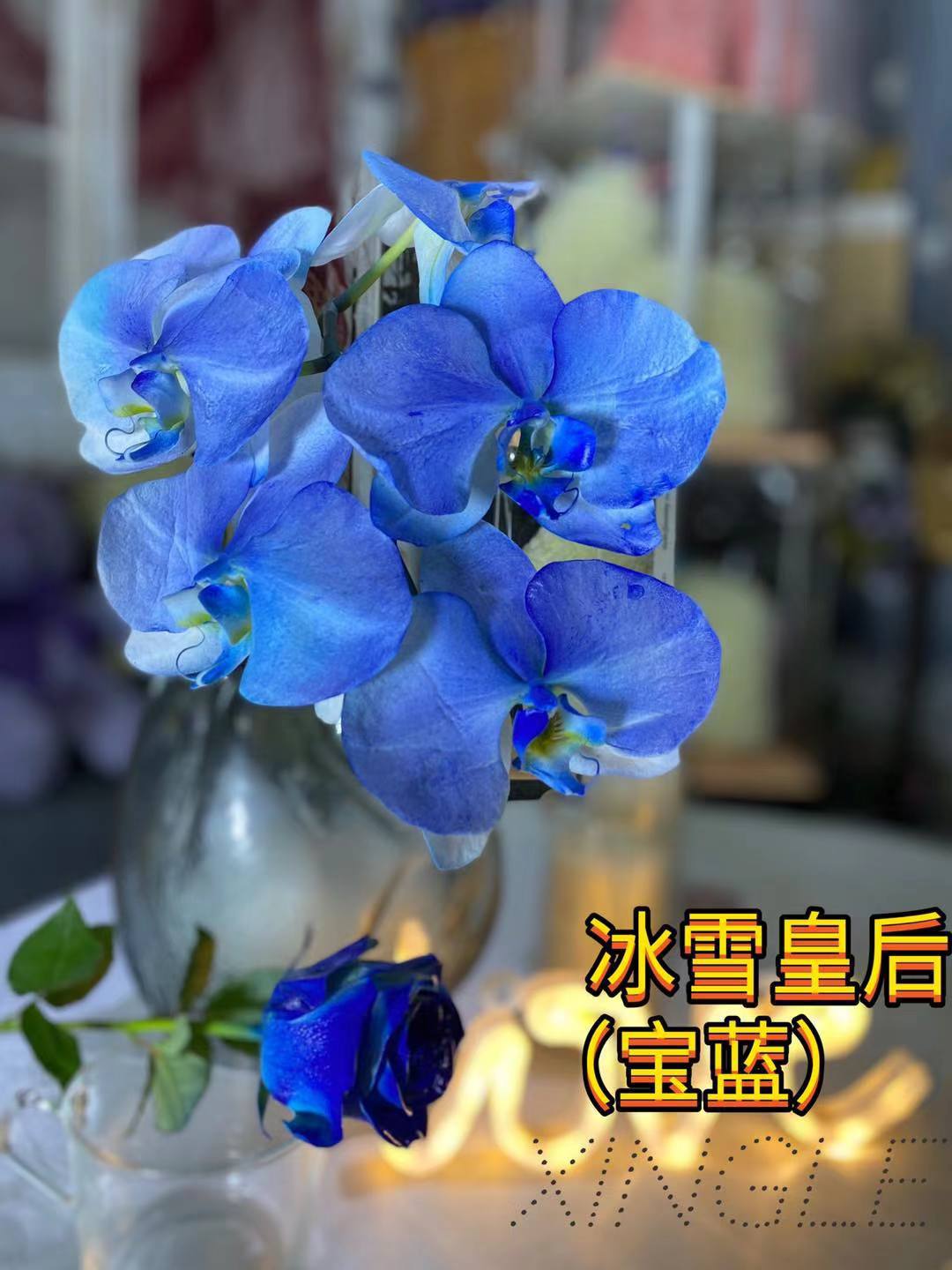 사파이어 블루(얼음과 눈의 여왕)